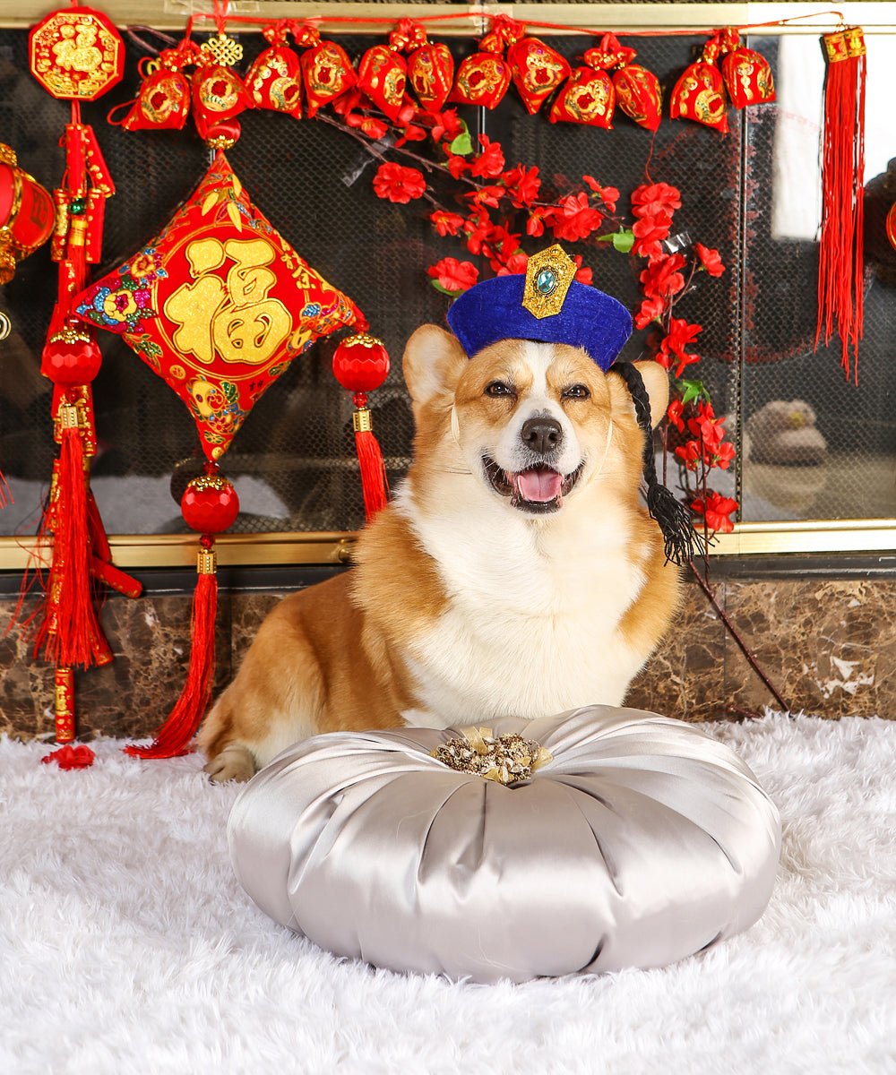 Corgi chinese sales new year