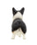 Corgi Statue 1:6 - NAYOTHECORGI - Corgi Gifts -Corgi Gift
