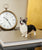 Corgi Statue 1:6 - NAYOTHECORGI - Corgi Gifts -Corgi Gift
