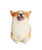 Smiling Corgi Statue 1:6 - NAYOTHECORGI - Corgi Gifts -Corgi Gift