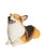 Smiling Corgi Statue 1:6 - NAYOTHECORGI - Corgi Gifts -Corgi Gift