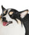 Smiling Corgi Statue 1:6 - NAYOTHECORGI - Corgi Gifts -Corgi Gift