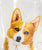 Double Glass Corgi Mug 500ml - NAYOTHECORGI