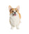 Corgi Statue 1:6 - NAYOTHECORGI - Corgi Gifts -Corgi Gift