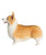 Corgi Statue 1:6 - NAYOTHECORGI - Corgi Gifts -Corgi Gift