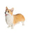 Corgi Statue 1:6 - NAYOTHECORGI - Corgi Gifts -Corgi Gift