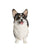 Corgi Statue 1:6 - NAYOTHECORGI - Corgi Gifts -Corgi Gift