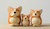 Hand Crafted and Hand Painted Corgi Wooden Decoration - NAYOTHECORGI