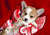 Valentine’s Day Top 10 Corgi Gifts for Corgi Lovers